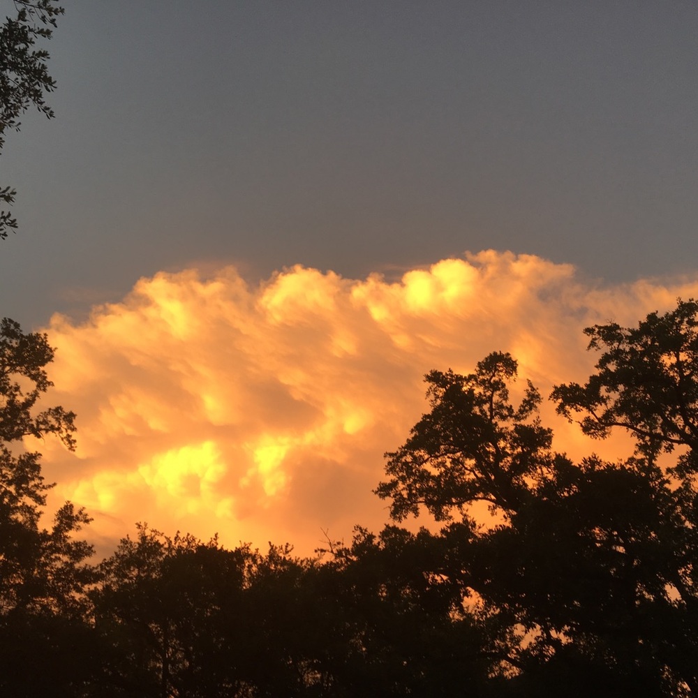 Meet your Posher, Jacqueline